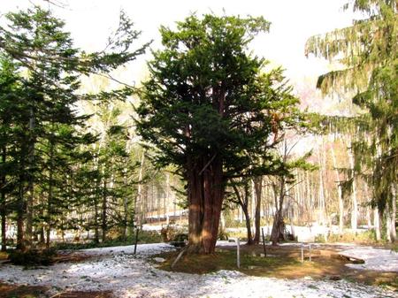 2012-5-10－静内厚田 054.jpg